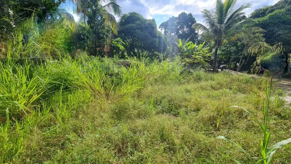Terreno, 600 m² - Foto 2