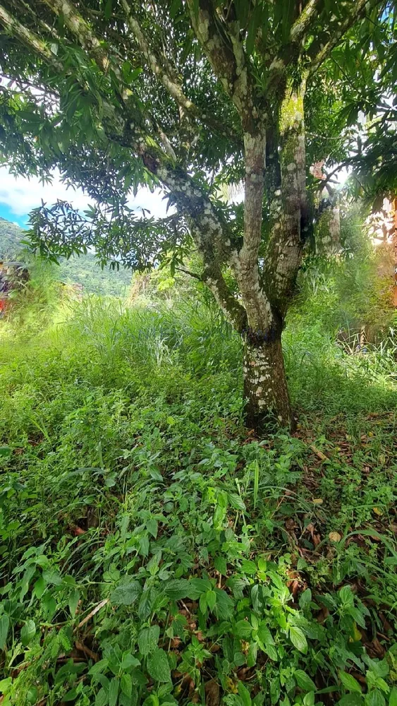 Terreno, 600 m² - Foto 15