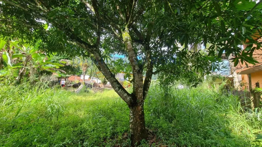 Terreno, 600 m² - Foto 10