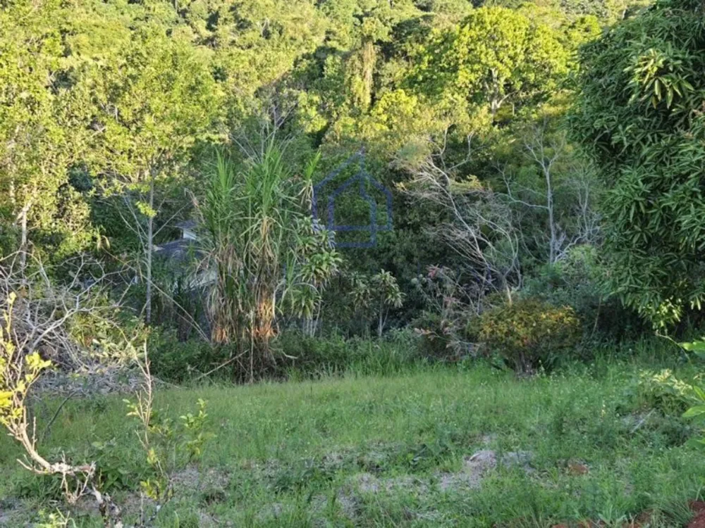 Terreno, 1316 m² - Foto 11