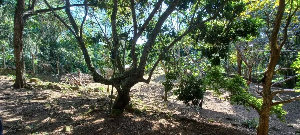 Casa, 1 quarto, 111 m² - Foto 5