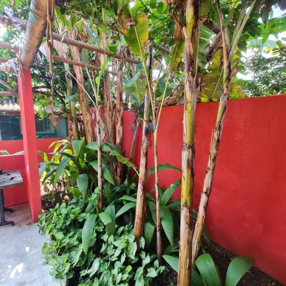 Casa, 5 quartos, 187 m² - Foto 38