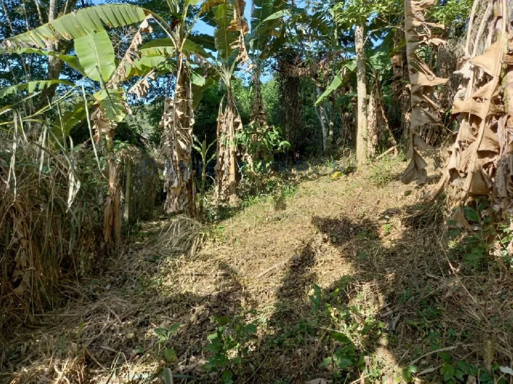 Terreno, 1936 m² - Foto 4