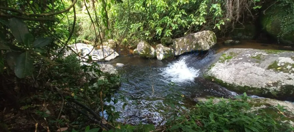 Terreno, 3 hectares - Foto 13