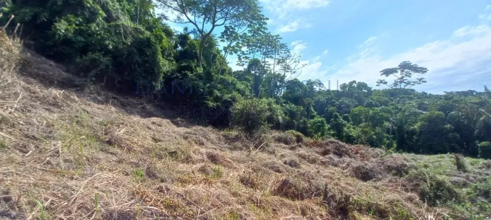 Terreno, 3 hectares - Foto 8