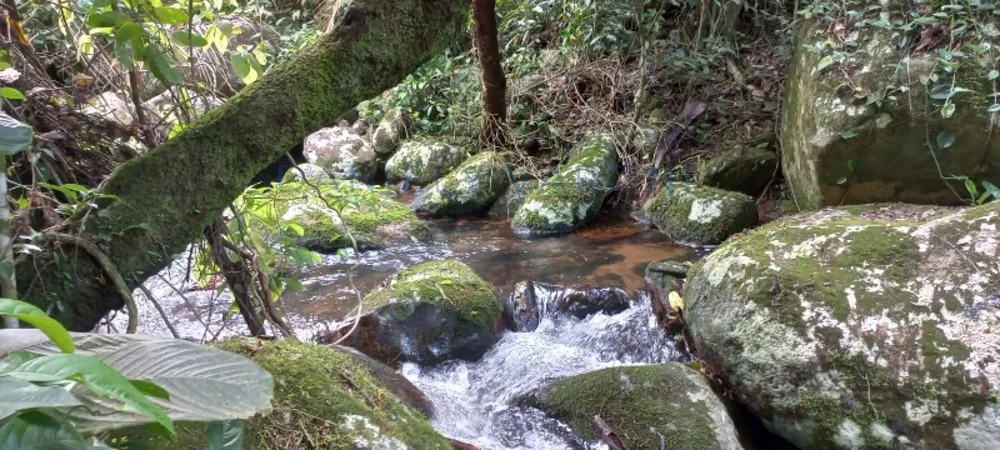 Terreno, 3 hectares - Foto 11
