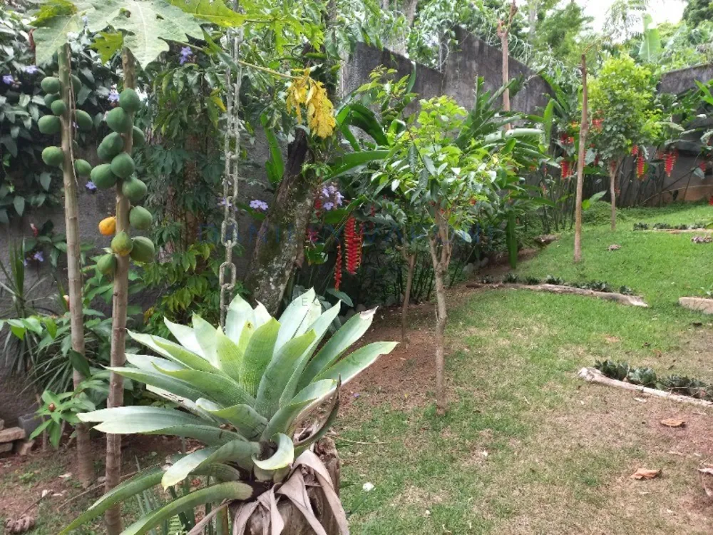 Casa, 3 quartos, 297 m² - Foto 22