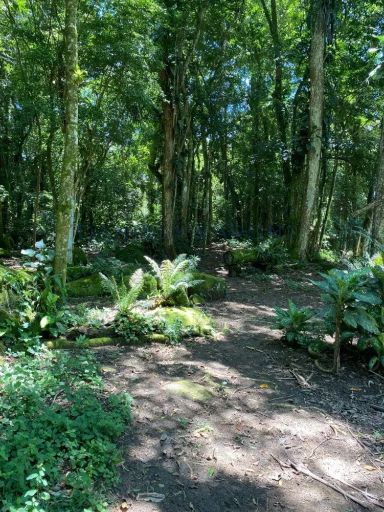 Casa, 4 quartos, 150 m² - Foto 16