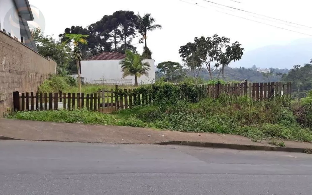 Terreno à venda - Foto 3