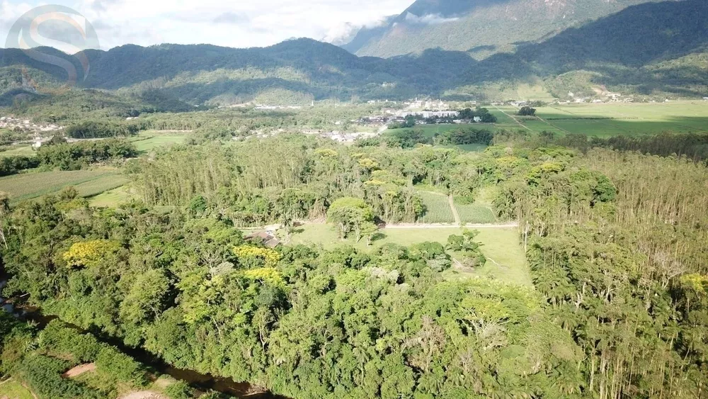 Fazenda à venda com 4 quartos, 126250m² - Foto 3