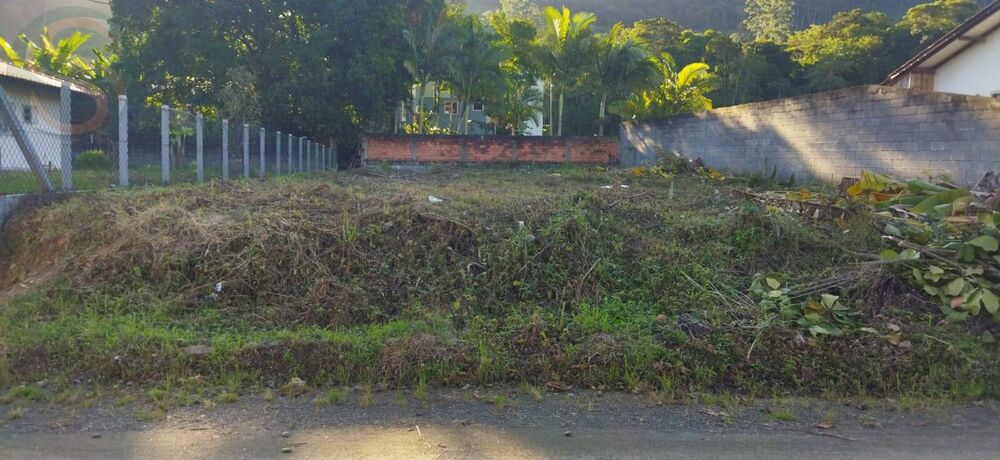 Terreno à venda - Foto 3