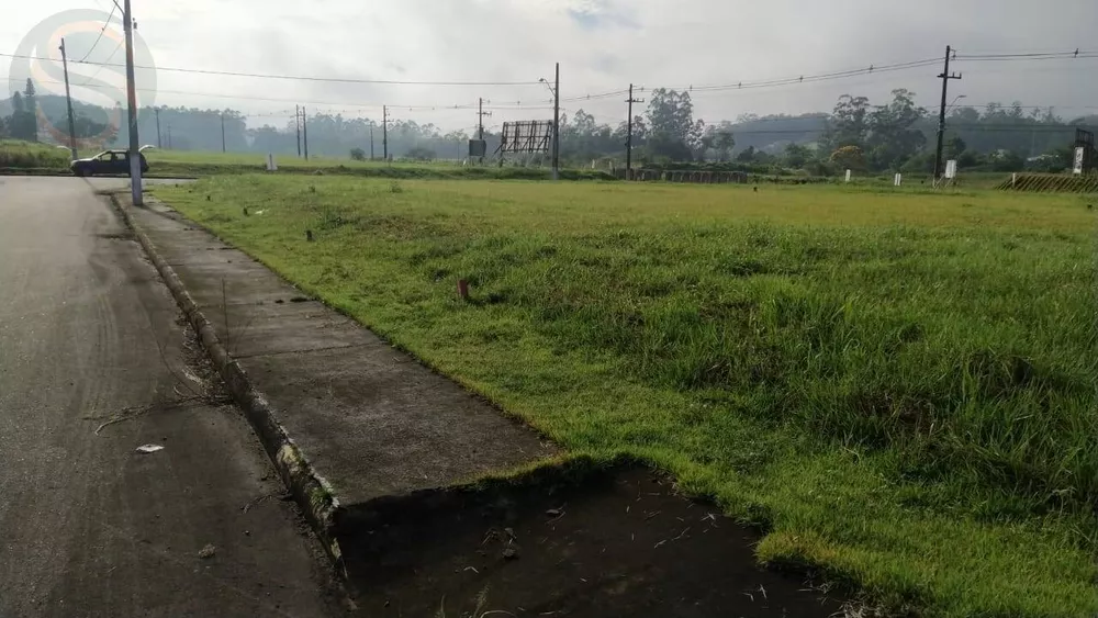 Terreno à venda - Foto 3