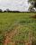 Terreno - Foto 1