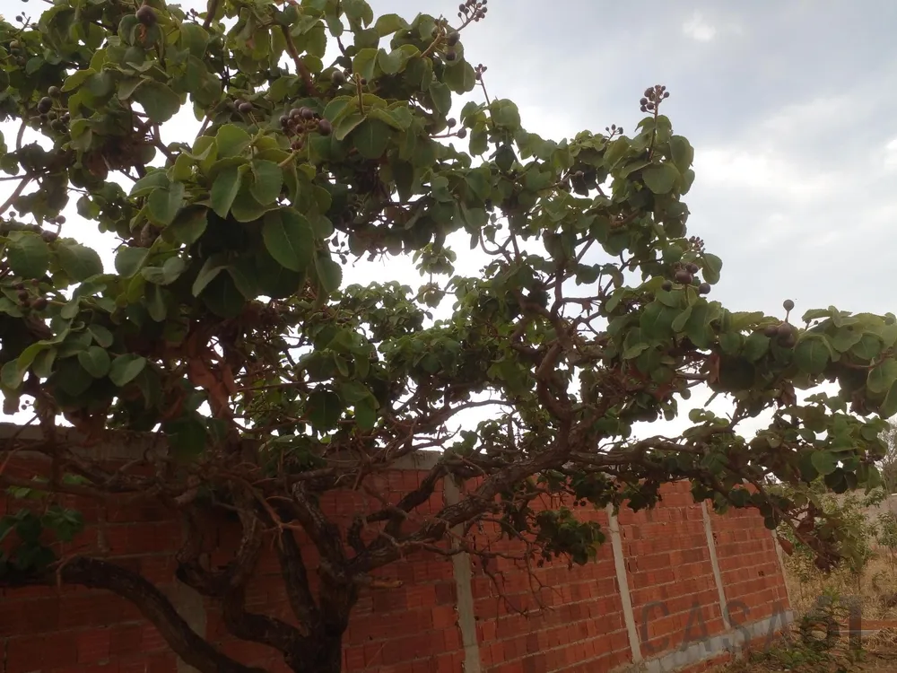 Terreno, 400 m² - Foto 10