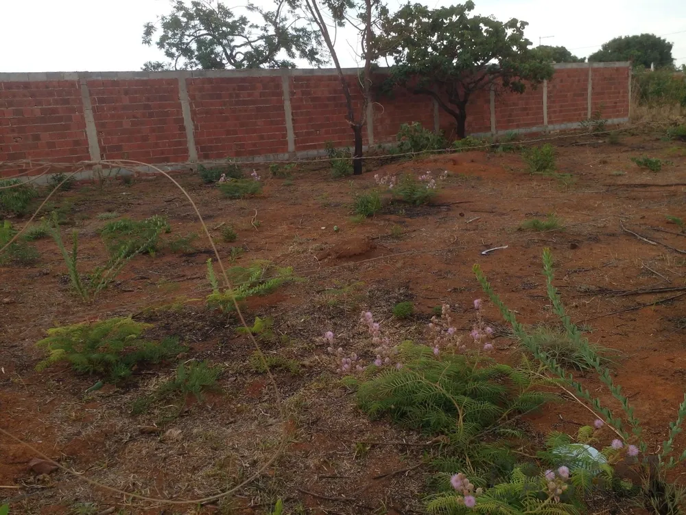 Terreno, 400 m² - Foto 18