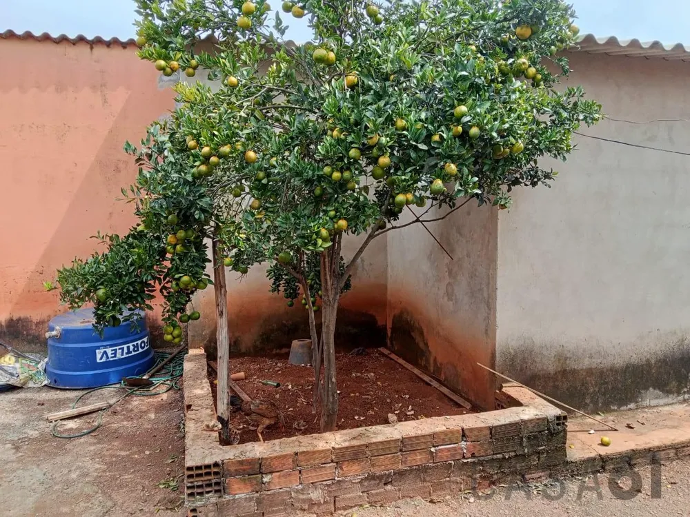 Casa, 4 quartos, 450 m² - Foto 8