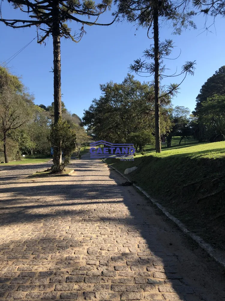 Casa, 4 quartos, 537 m² - Foto 19
