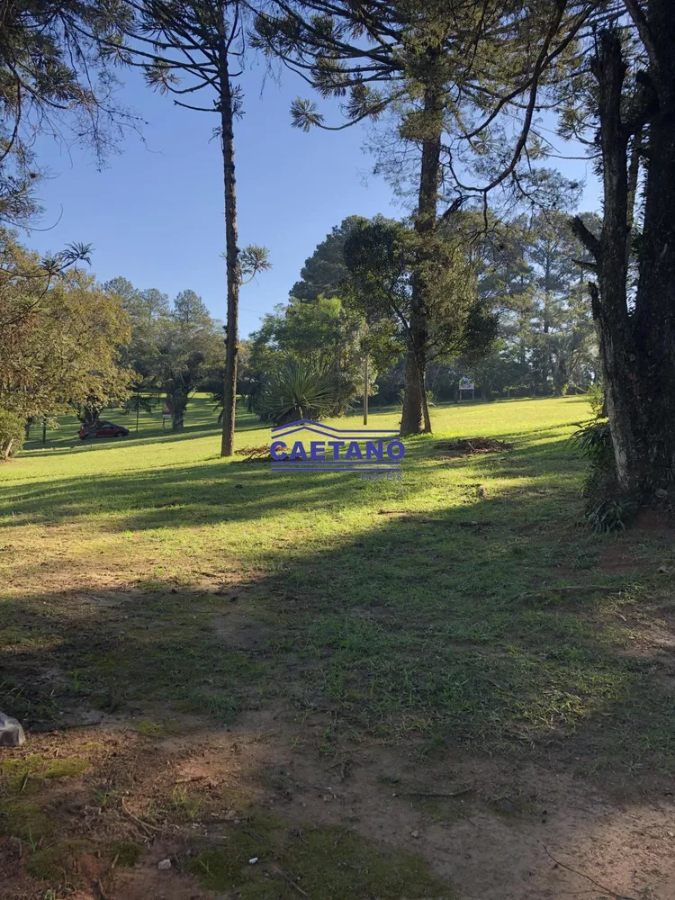 Terreno, 367 m² - Foto 5