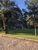Terreno, 367 m² - Foto 2