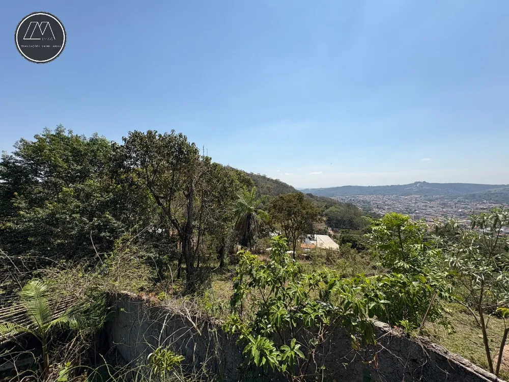 Chácara, 3 quartos, 355 m² - Foto 6