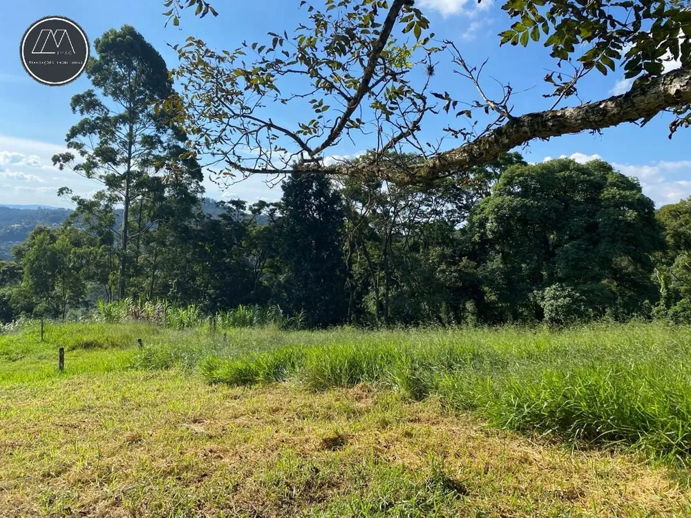 Terreno, 2519 m² - Foto 4