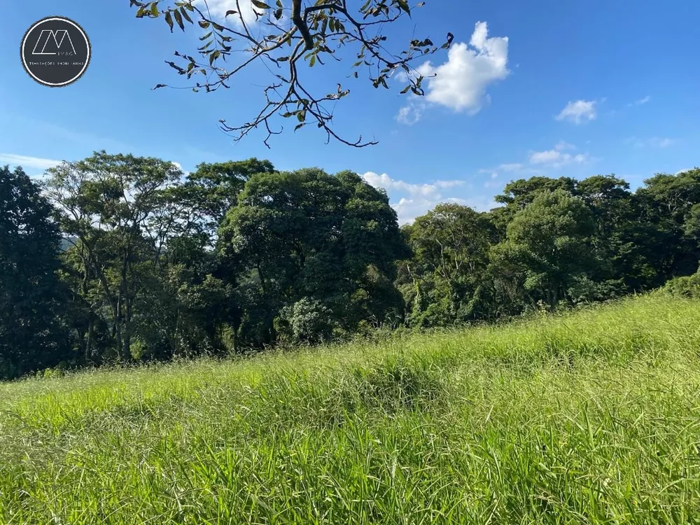 Terreno, 2519 m² - Foto 3