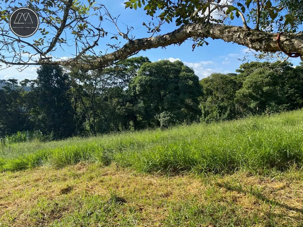 Terreno, 2519 m² - Foto 2