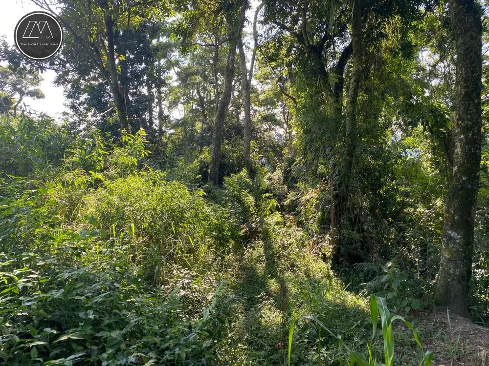 Terreno, 2519 m² - Foto 12