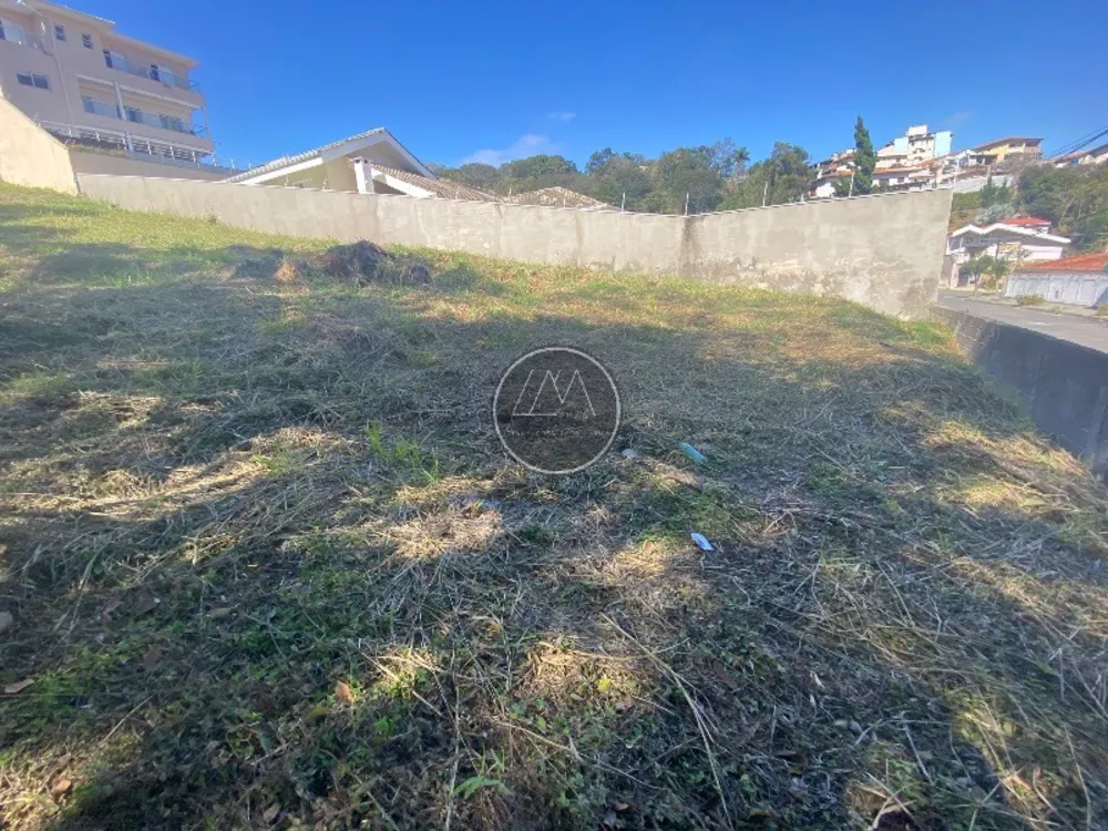 Terreno - Foto 3