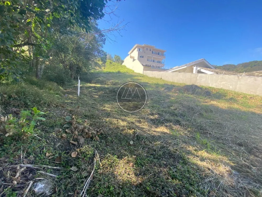 Terreno - Foto 4