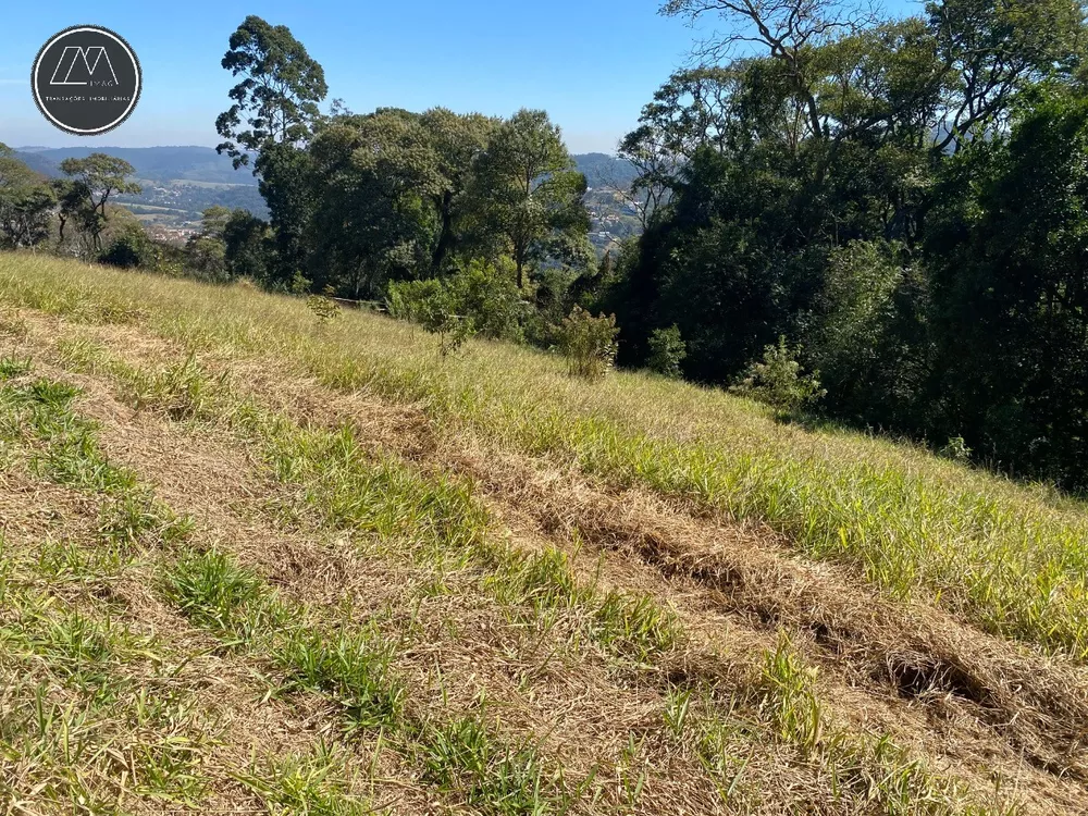 Terreno, 2838 m² - Foto 4