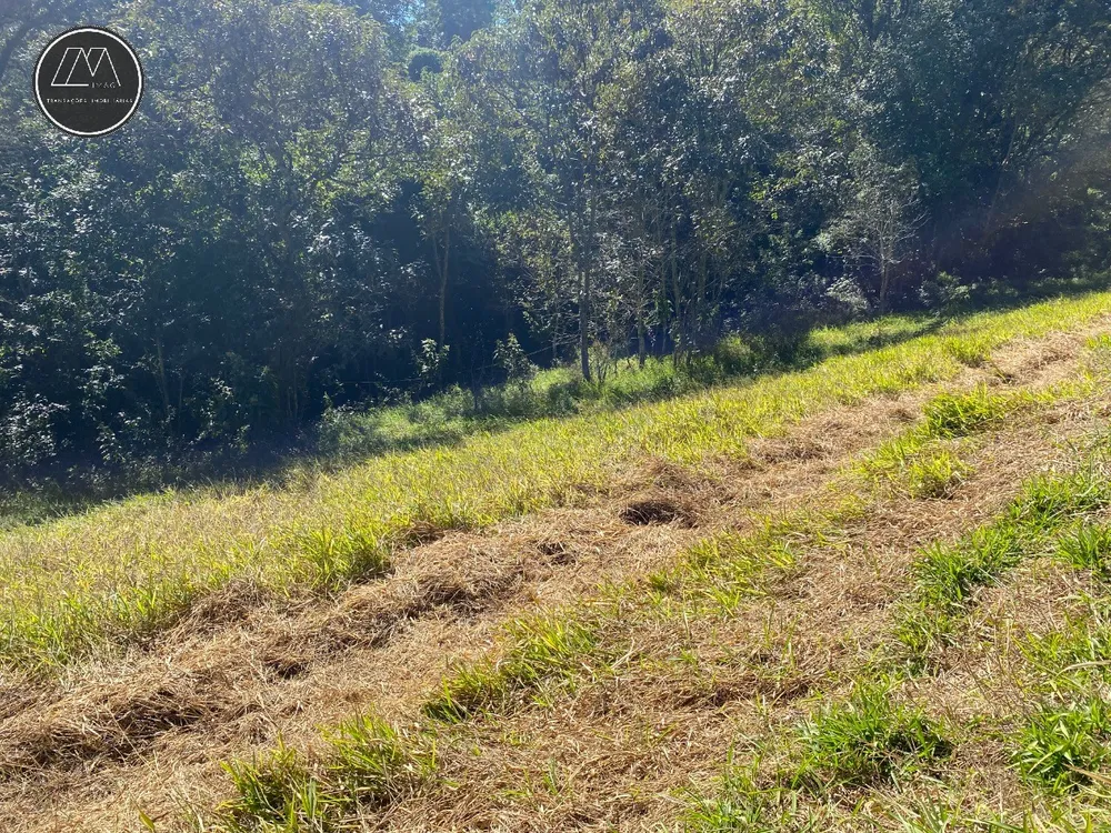 Terreno, 2838 m² - Foto 8