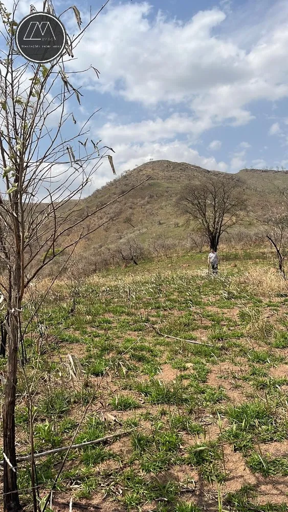 Terreno, 12 hectares - Foto 3