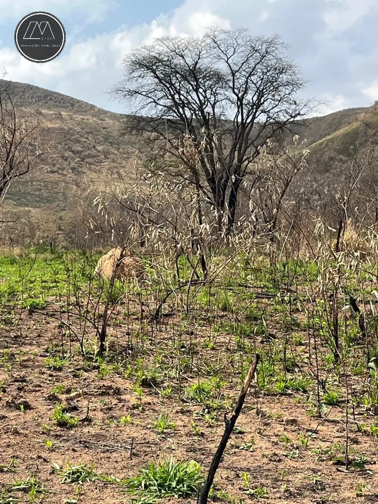 Terreno, 12 hectares - Foto 4
