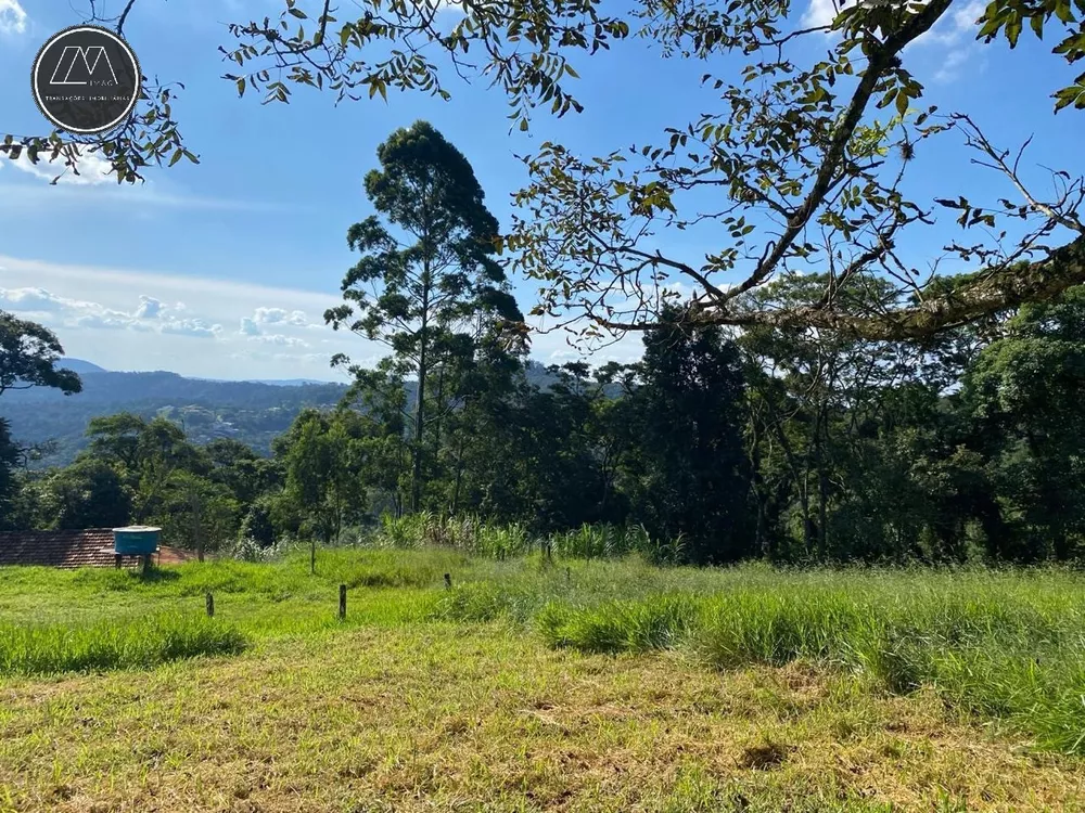 Terreno, 12 hectares - Foto 4