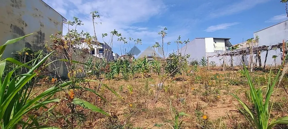 Terreno, 250 m² - Foto 2