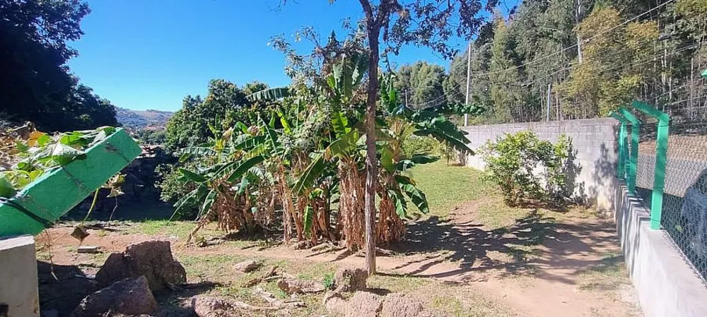 Chácara, 3 quartos, 5000 m² - Foto 7