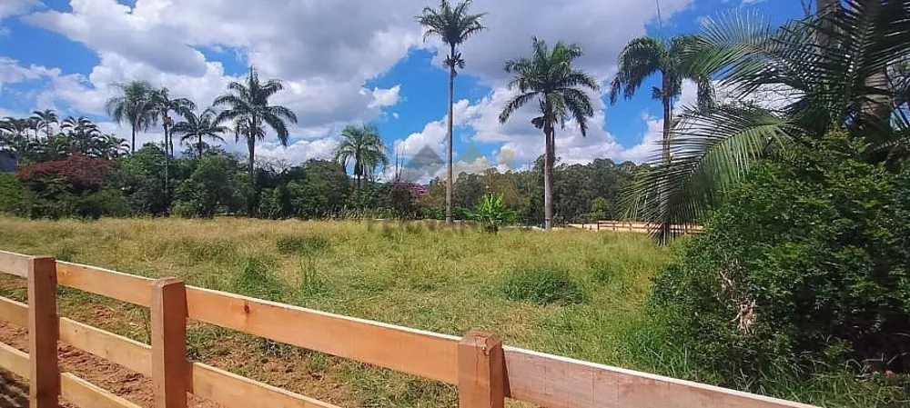 Terreno, 2 hectares - Foto 7