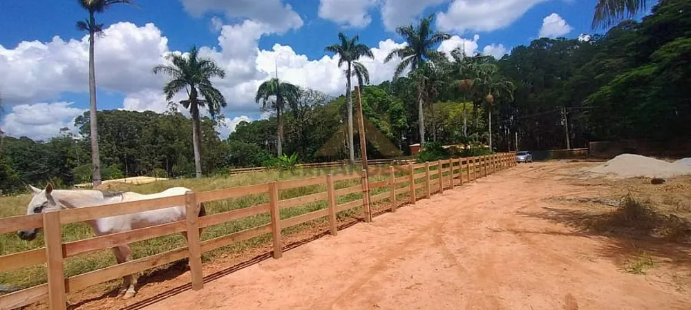 Terreno, 2 hectares - Foto 2