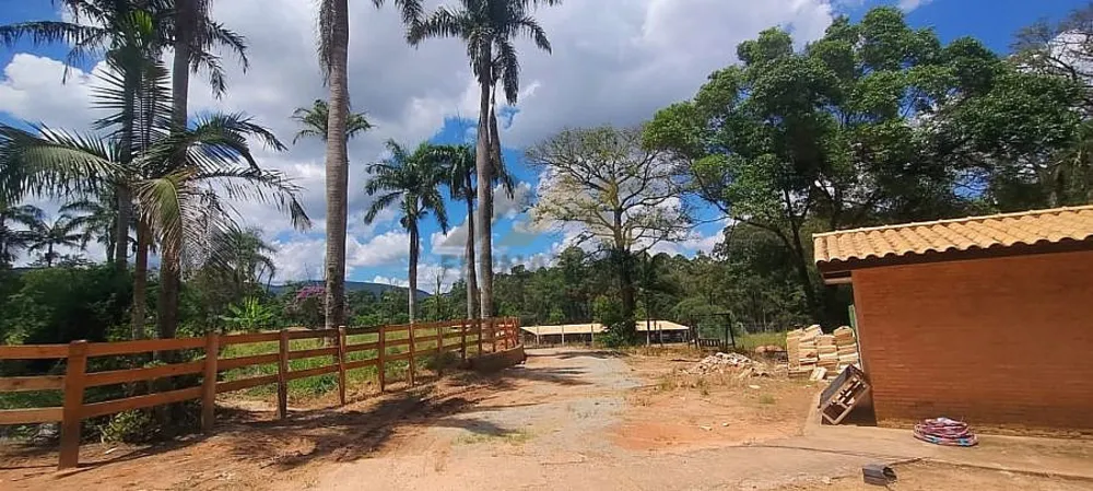 Terreno, 2 hectares - Foto 3