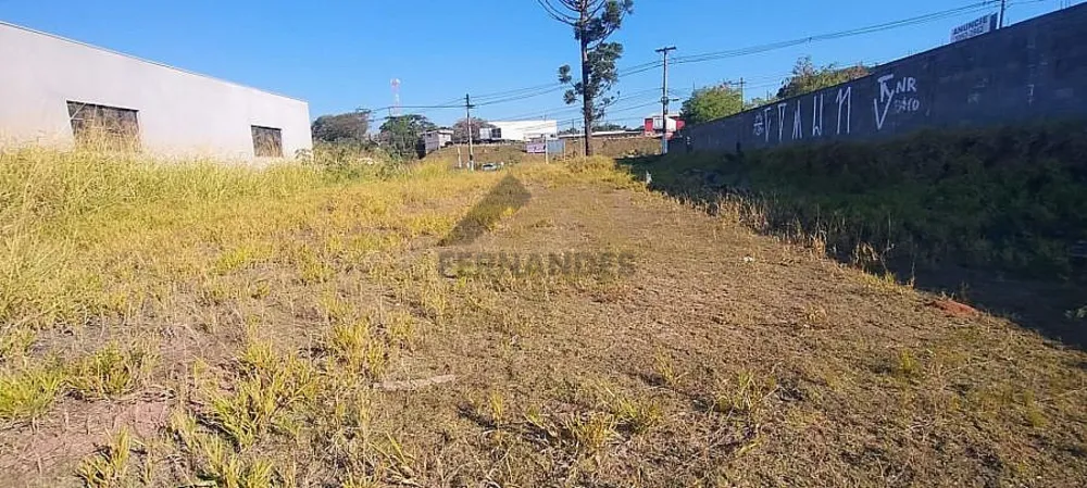 Terreno, 1582 m² - Foto 4
