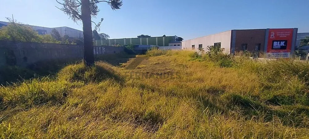 Terreno, 1582 m² - Foto 3