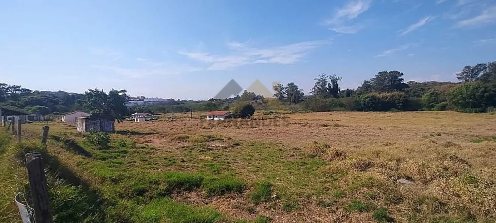 Terreno, 4 hectares - Foto 1