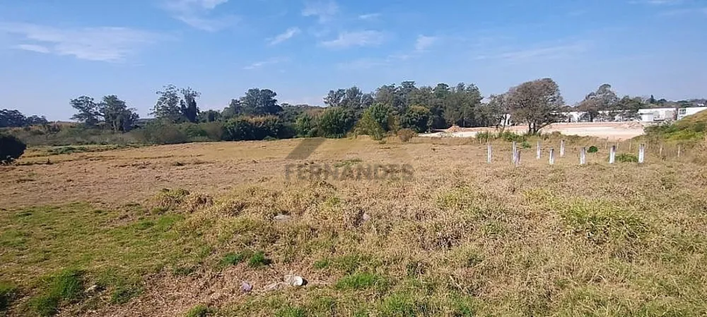 Terreno, 4 hectares - Foto 3