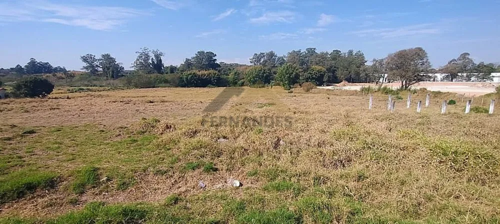 Terreno, 4 hectares - Foto 4