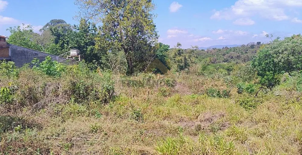 Terreno, 4750 m² - Foto 3