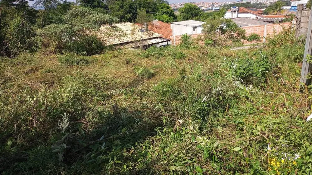 Terreno, 4750 m² - Foto 6