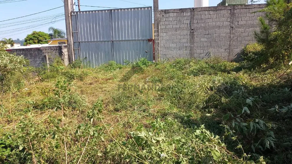 Terreno, 4750 m² - Foto 5