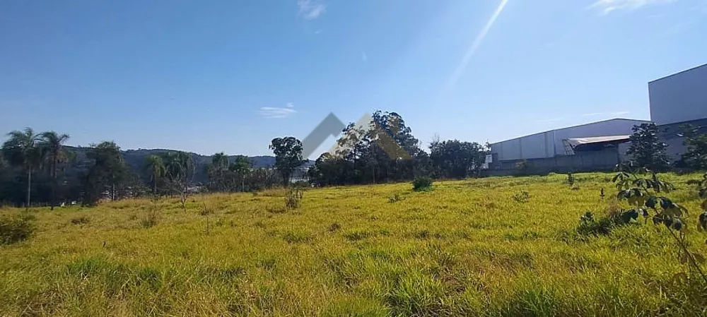 Terreno, 6 hectares - Foto 6