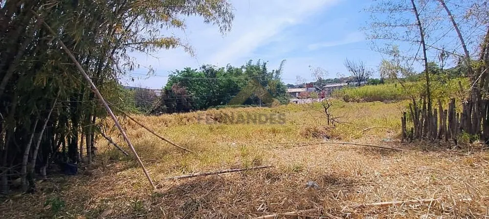Terreno, 6 hectares - Foto 8